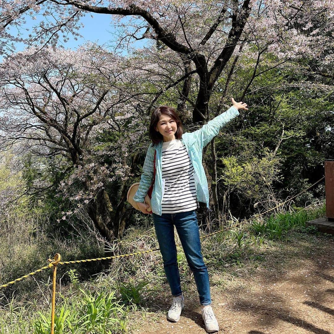 辛島美登里さんのインスタグラム写真 - (辛島美登里Instagram)「ちょっぴり遠出して山散歩を楽しみました🌸ついでにお姫様と出会い見えない敵とも戦ってきました⚔️  #八王子 #aprilfools #桜 #cherryblossom」4月1日 22時48分 - midorikarashima