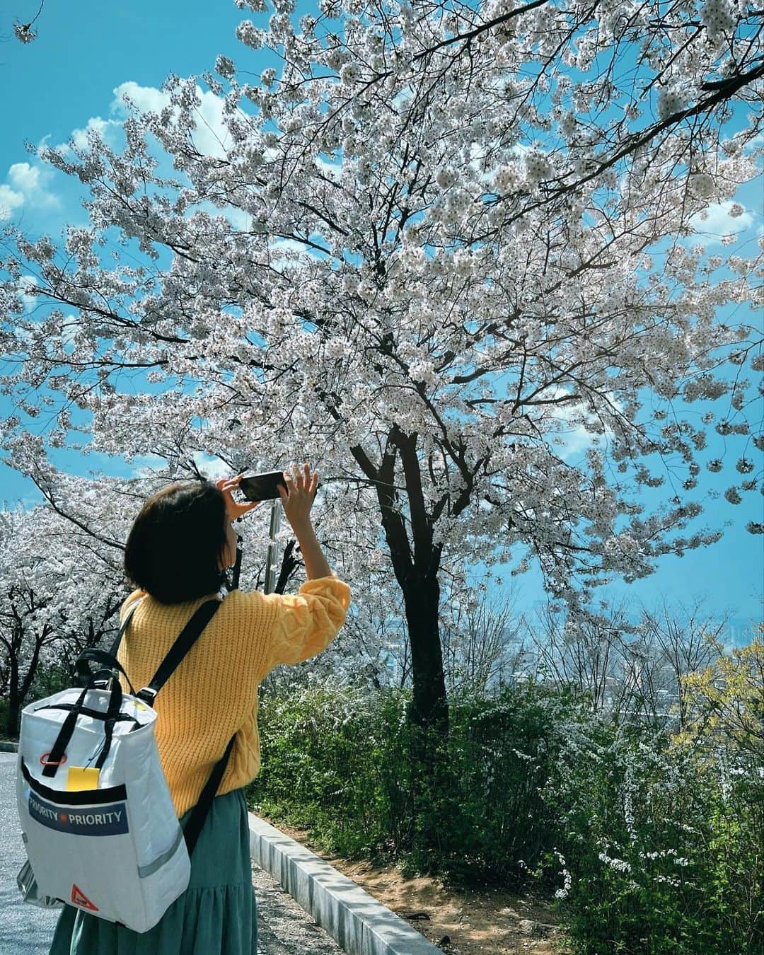 シン・ソユルのインスタグラム：「봄🌸」