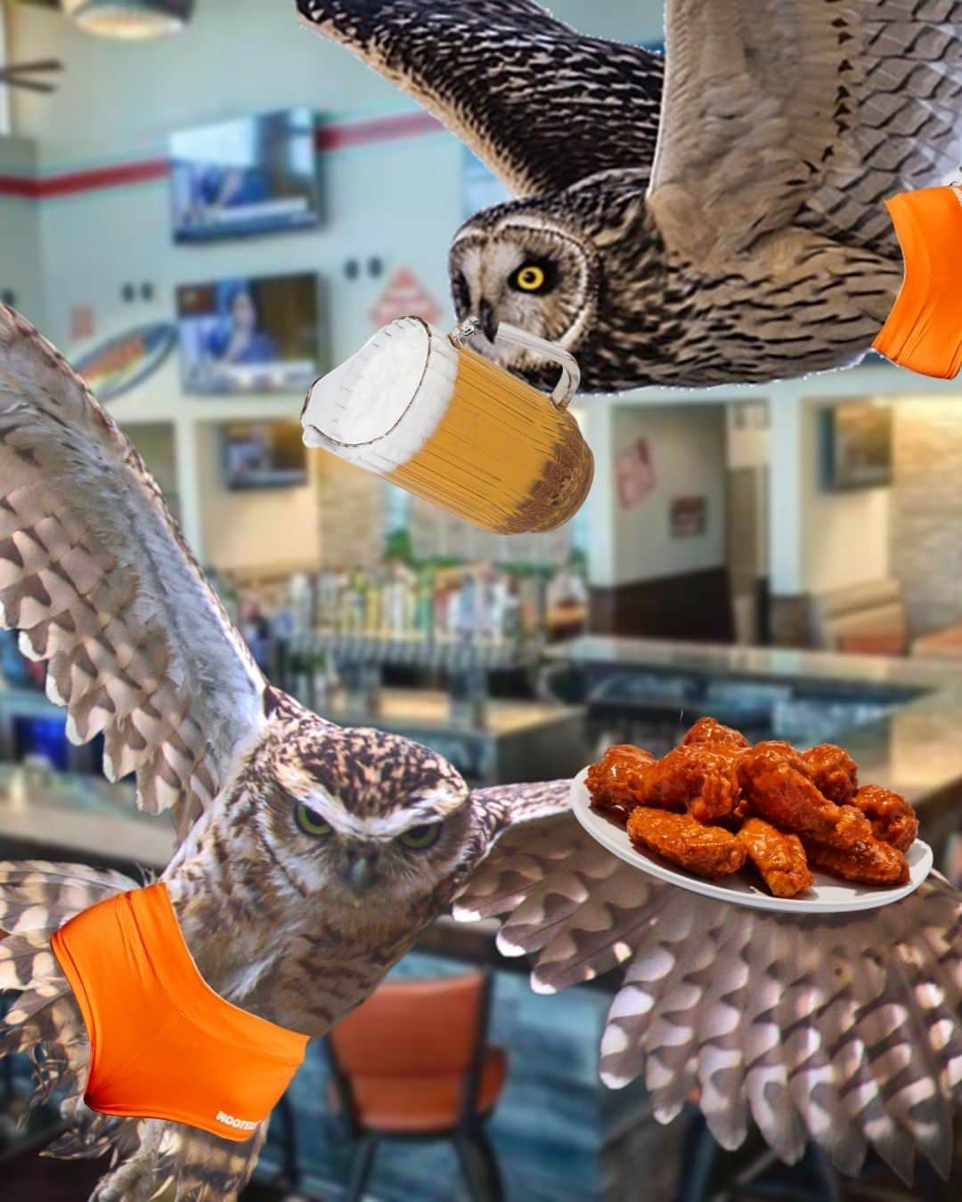 Hootersさんのインスタグラム写真 - (HootersInstagram)「Please be patient as our new Hooters Owls figure out how to avoid spilling beer on your head. 🦉」4月1日 23時03分 - hooters