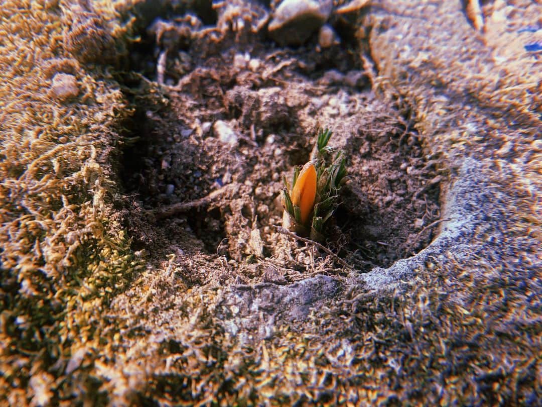 のインスタグラム：「４月だ☺︎  ３月はどんな月でしたか？  人生は今日の積み重ね  ４月を過ごした自分がどうなってるのか まるで想像つかないけど 毎日向き合って頑張ってみよう  #ありがとう３月  #４月はどんな月になるかな #吉田桃華」