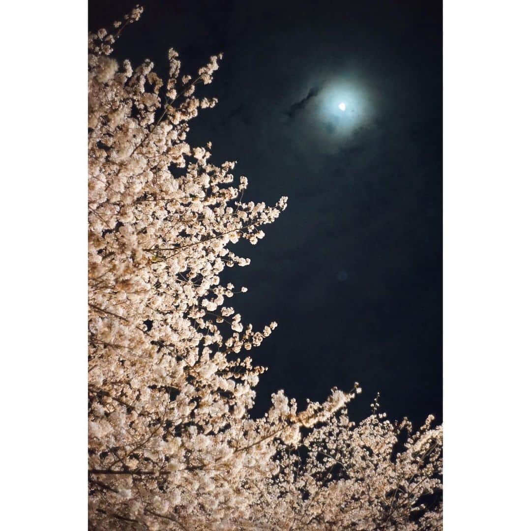 奈緒さんのインスタグラム写真 - (奈緒Instagram)「. よ🌸」4月1日 23時21分 - sunaosquare