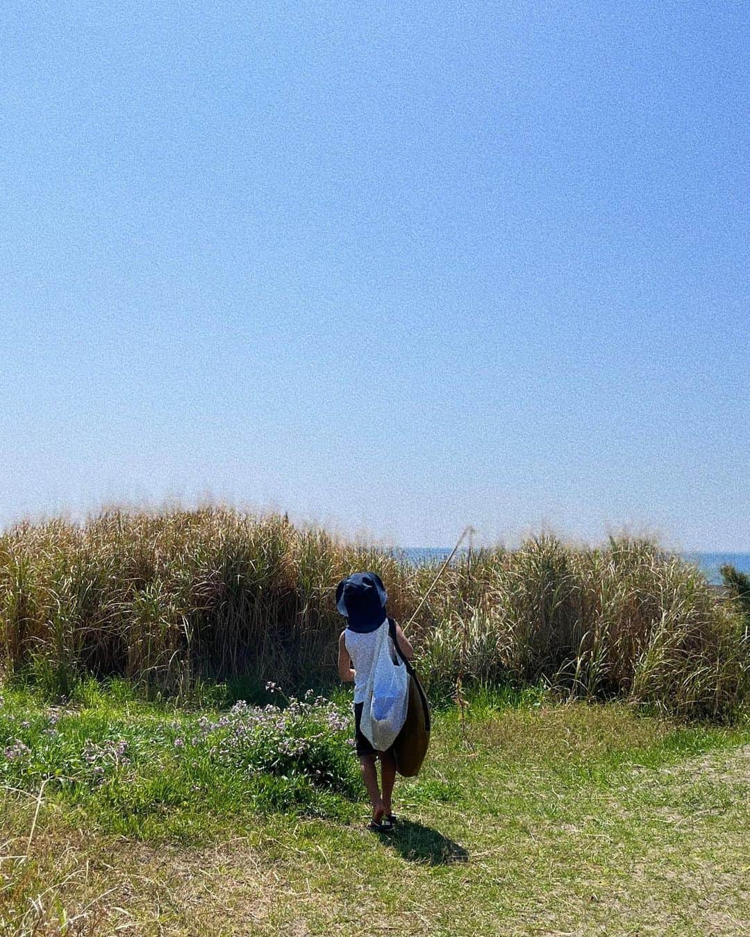 宇藤えみのインスタグラム：「気持ちよくスタートした4月1日☀️ 久しぶりに雲一つないお天気で朝早くから海へ。 海の生き物やら虫やら一人忙しそうな坊。 もうぼくの夏休みのようだった。笑 そしてにぃにの横でワカメ売りの小さなおばさんのようだったおちび。笑 たくさん動いてテントの中での朝寝はとっても気持ち良さそうでうらやましかった💤 #暮らし」