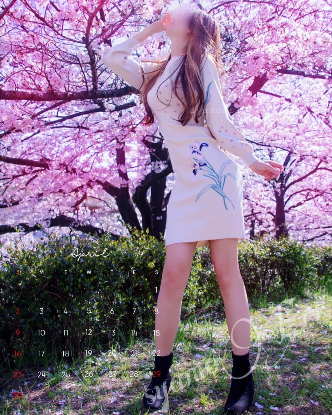 しゃもえり。さんのインスタグラム写真 - (しゃもえり。Instagram)「おはよー⛅ 桜満開だよ🌸 みんなお花見したかな？  昨日ファンティアに限定📸あげたよ💕 peace✌️  限定の動画📽️や写真📸はプロフィールのリンクから観れるよ💕  #portrait_shots #カメラ女子 #photography #ポートレート #peace #cherryblossom #sakura #さくら #お花見 #桜 #春」4月2日 9時29分 - syamoeri