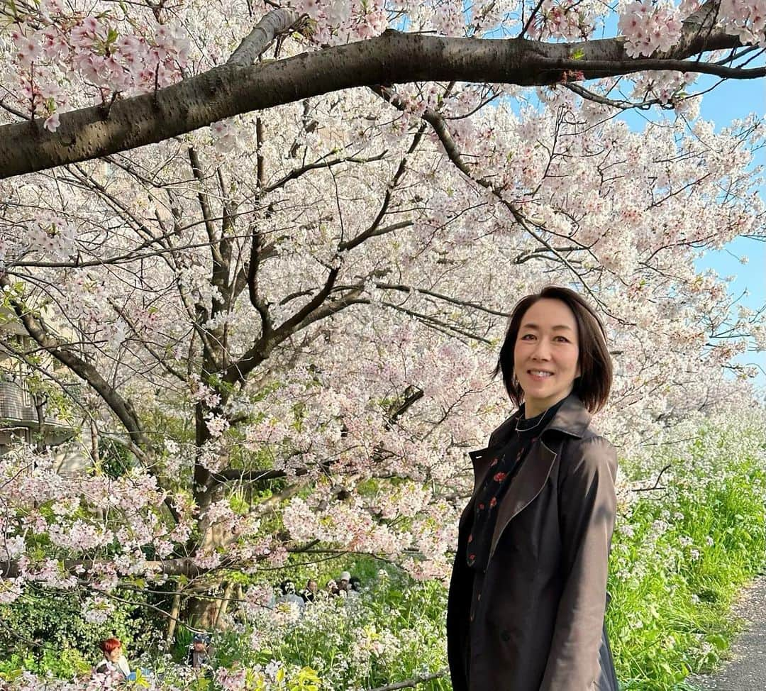 長野智子さんのインスタグラム写真 - (長野智子Instagram)「週末はお花見🌸イタリアン。  #桜 🌸 #お花見 #美味しい  #イタリアン #icaro #桜鱒 #ポルチーニ　#鹿肉　#仔羊 #中目黒」4月2日 9時29分 - naganotomoko