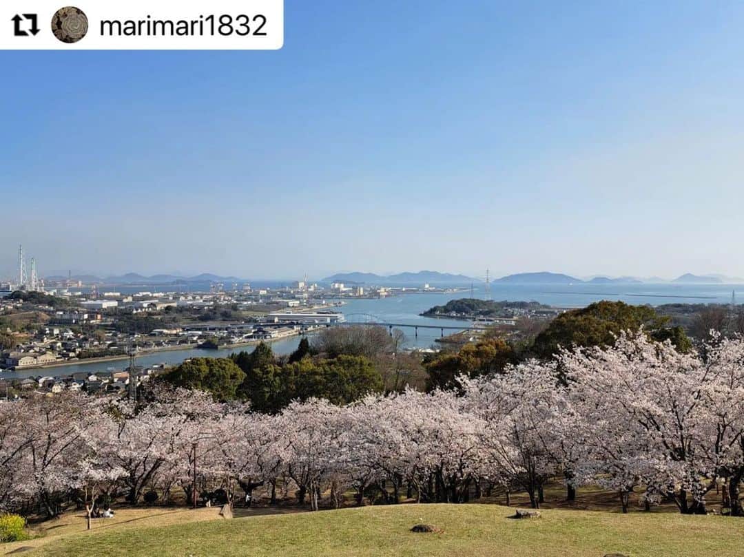倉敷市のインスタグラム：「#クラシキブンカ に投稿された作品からいいなと思う作品をリポストさせてもらっています。  @marimari1832さんの作品です。 よろしくお願いします。  #Repost @marimari1832 with @use.repost ・・・ 白華山・円通寺・円通寺公園の春。  シートを敷いてお花見を楽しんでいた、定年退職をされているであろうお年頃の男性７人ほどのグループを見かけました。 シャッターの押し合いっこをしながら記念撮影をしている様子に、ほっこり。 幾つになっても気心の知れた仲間とのお花見は最高ですね。 美しい風景と共に、幸せな場面に出会えたことに感謝です。  それにしても、体力不足を実感です。 心肺機能と足腰を鍛え直さなきゃ！  #白華山 #円通寺 #円通寺公園 #桜 #花見 #希望の鐘 #倉敷市 #倉敷市玉島 #クラシキブンカ」