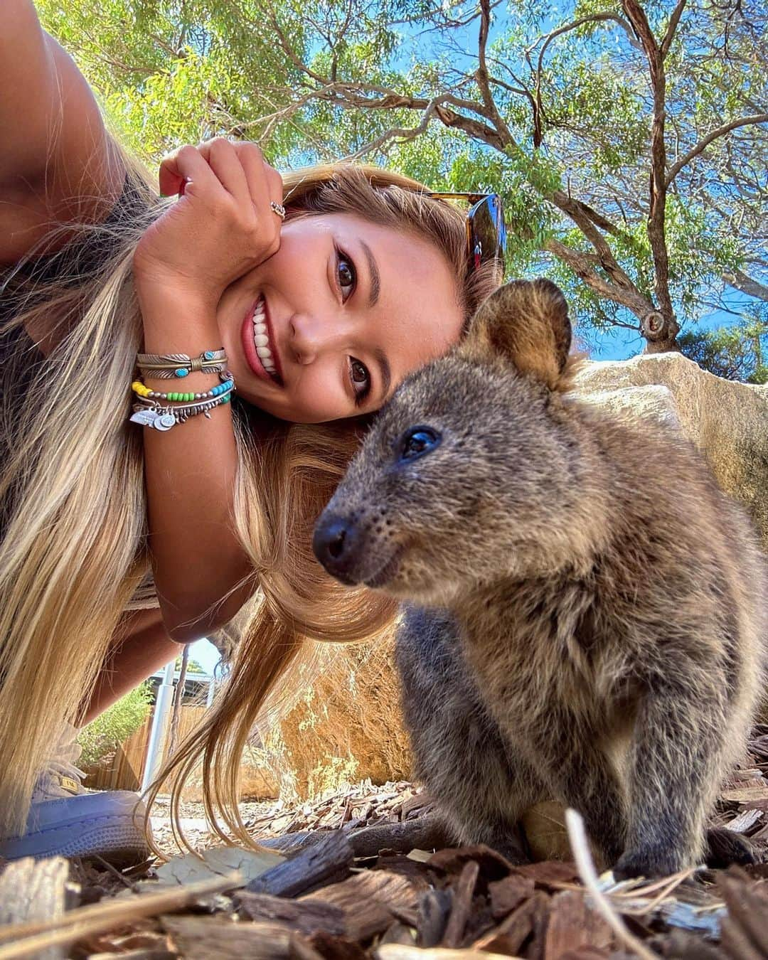 ちゃんもりさんのインスタグラム写真 - (ちゃんもりInstagram)「オーストラリアで1番会いたかったクウォッカ🥹😍😍😍🇦🇺 パースからロットネスト島に渡って会いに来た🛳🤍 もお可愛くて愛おしくて写真見返したら可愛すぎて笑っちゃう🤣🤍 世界一幸せな動物なんだって🇦🇺カンガルー科らしい🦘 なんて愛らしい動物なんだ🤦🏽‍♀️🤦🏽‍♀️🤦🏽‍♀️是非みんな行ってほしい🇦🇺🏝 . . . #ロットネスト島#クウォッカ#オーストラリア観光#オーストラリア旅行#オーストラリアトリップ#ゴールドコースト#ゴールドコースト旅行#ゴールドコースト観光#海外旅行女子#ビキニガール#海ガール#海外旅行記#南国生活#サーファーズパラダイス#バイロンベイ#女子旅行#lottnestisland#quokka#surfersparadisebeach #australiatrip#goldcoastbeach#goldcoasthotel#japanesegirl#byronbay#australiajapanese」4月2日 10時07分 - xx817.a