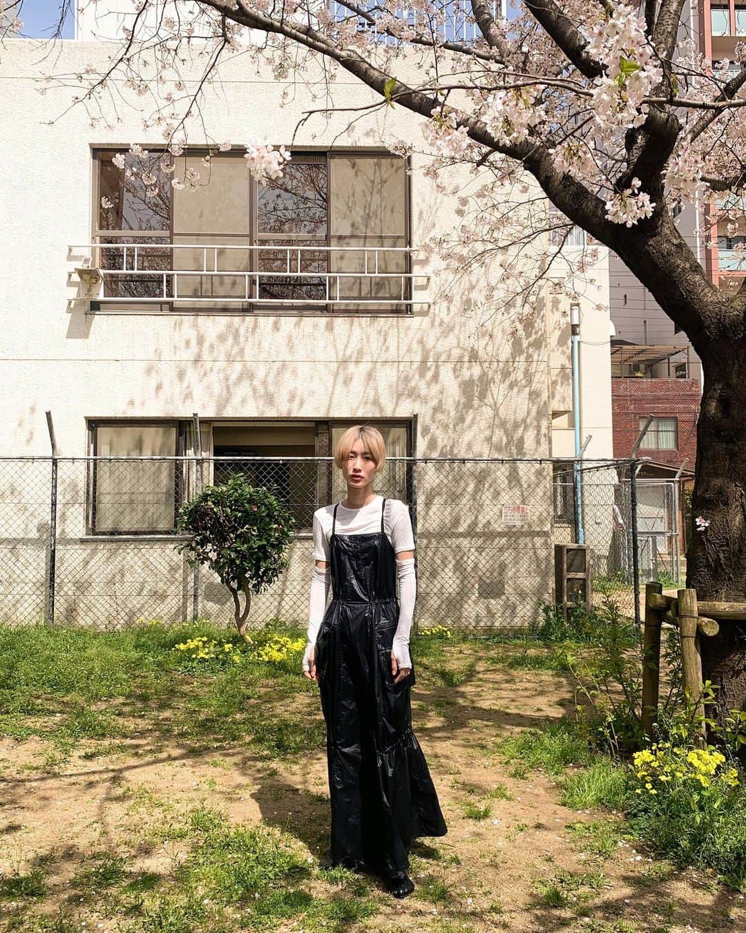 浦川望美さんのインスタグラム写真 - (浦川望美Instagram)「この間、店の前 花が綺麗だったな。」4月2日 10時21分 - noz_omi