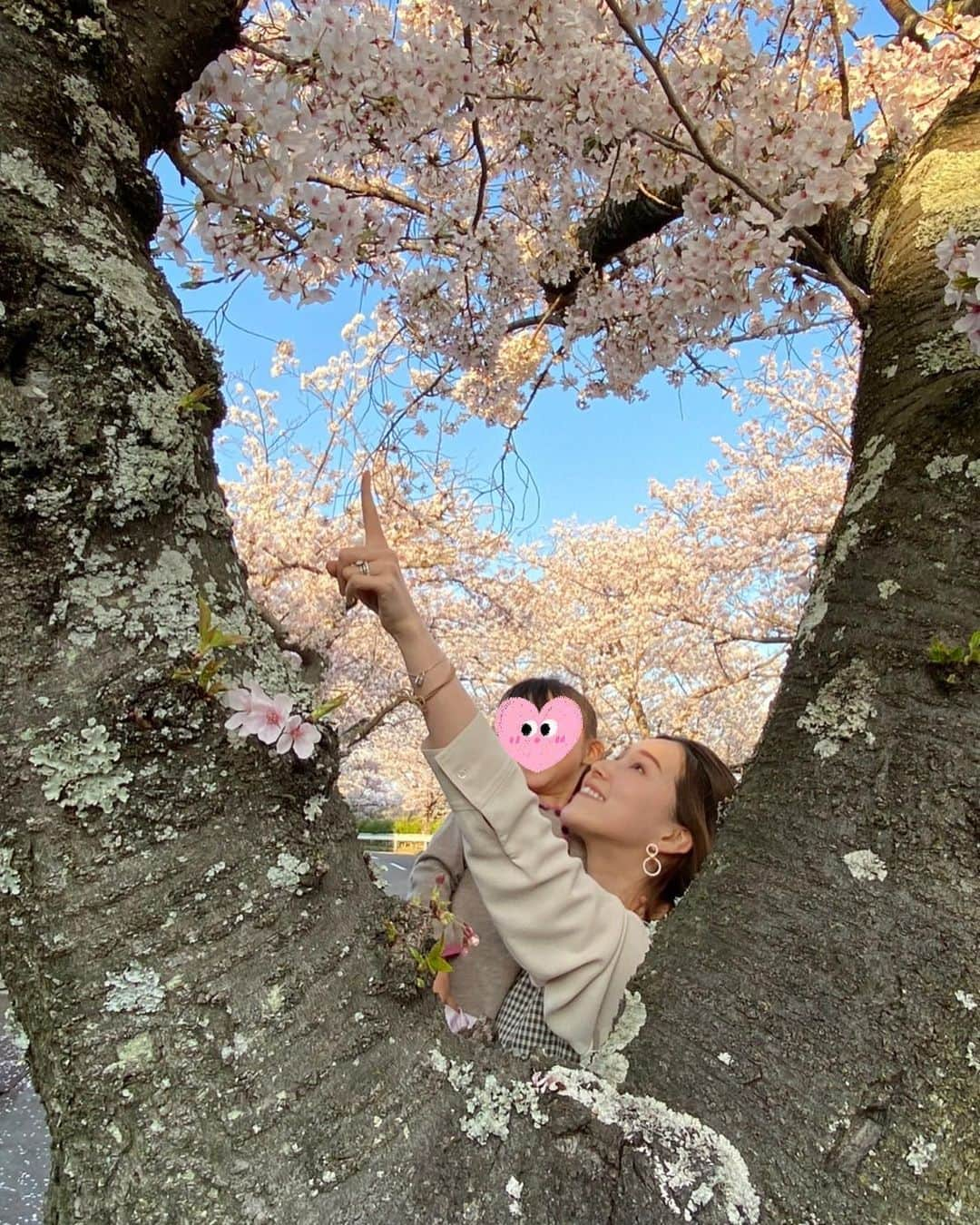 彩星りおんさんのインスタグラム写真 - (彩星りおんInstagram)「春休み🌸  実家の近くでお花見が出来ました☺️ 見様によってはハートのフレームに見える(無理があるか⁈)フォトスポットで🫶  4月、新生活が始まる方も多いですよね。 挑戦を恐れず新たな第一歩を踏み出してください✨きっと色々な景色に出逢えることと思います！ 楽しいことも苦しいことも頑張った事は大切な財産です。  私もこの大木から顔を出してきた桜の花のように、気持ち新たに日々を送りたいと思います🌸  #桜2023 #お花見 #新生活 #芽生え」4月2日 10時17分 - rion.ayahoshi