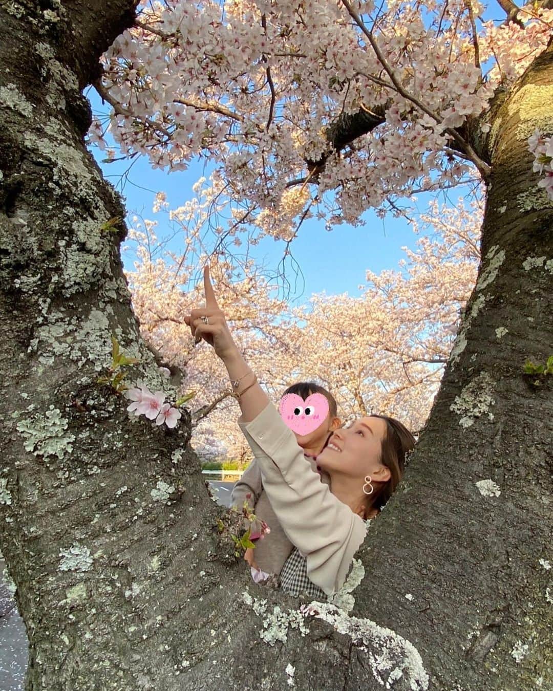 彩星りおんのインスタグラム：「春休み🌸  実家の近くでお花見が出来ました☺️ 見様によってはハートのフレームに見える(無理があるか⁈)フォトスポットで🫶  4月、新生活が始まる方も多いですよね。 挑戦を恐れず新たな第一歩を踏み出してください✨きっと色々な景色に出逢えることと思います！ 楽しいことも苦しいことも頑張った事は大切な財産です。  私もこの大木から顔を出してきた桜の花のように、気持ち新たに日々を送りたいと思います🌸  #桜2023 #お花見 #新生活 #芽生え」