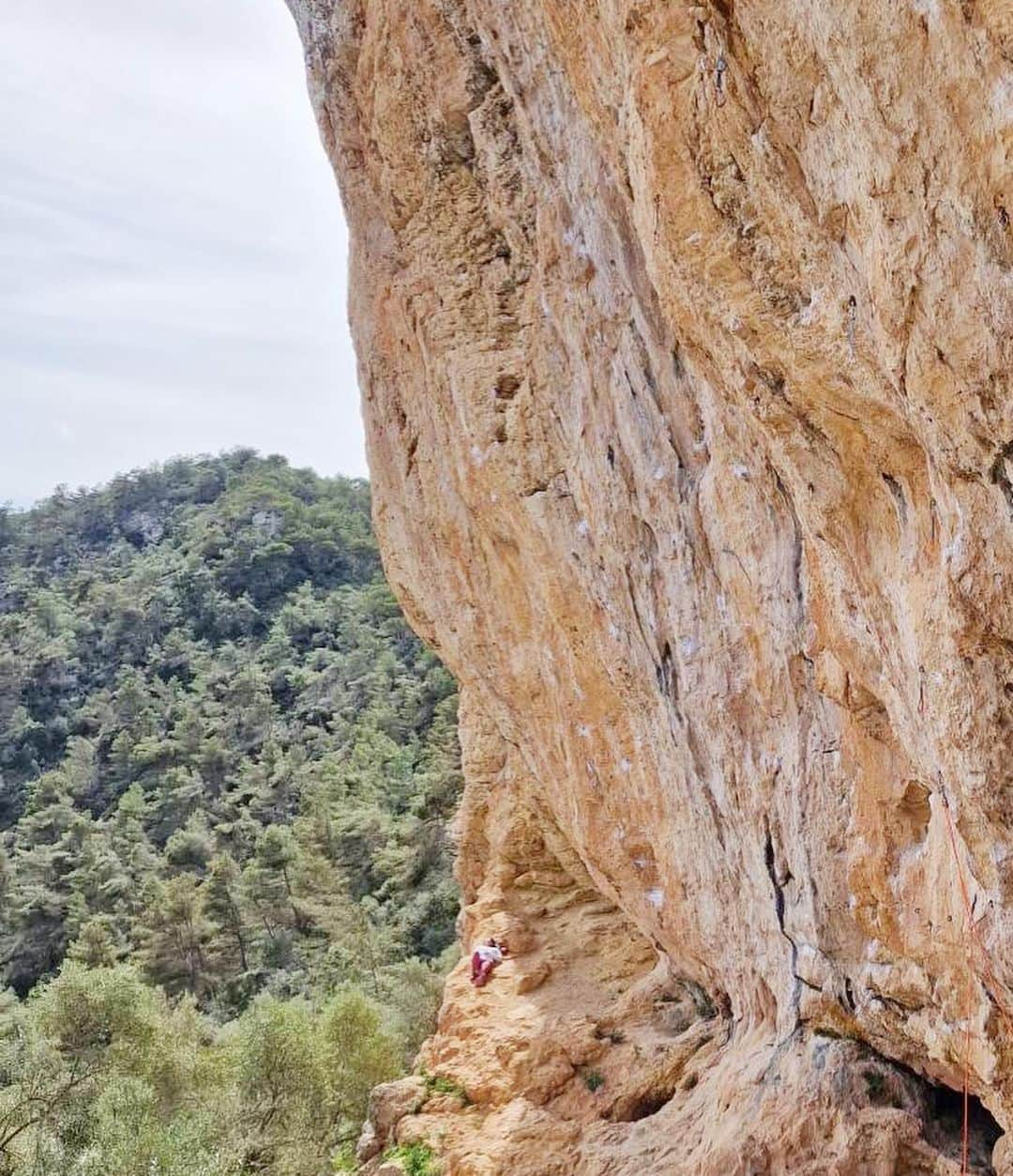 小林由佳さんのインスタグラム写真 - (小林由佳Instagram)「Amazing rocks🫰🏻🌴 send some 8B, 8A+, 8A and palmtree🙂👍🏻  @unparallelup  @mammut_japan  @guenergy_japan」4月2日 1時26分 - yuca_tan