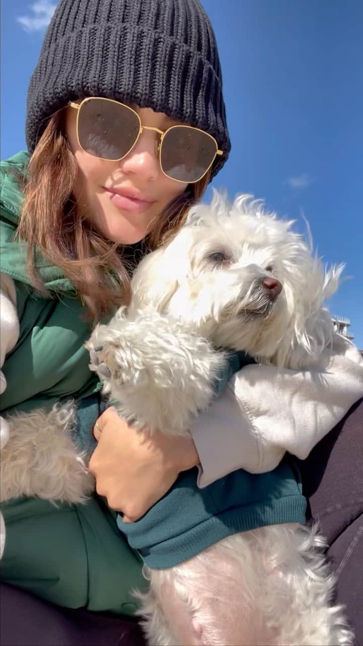 ルーシー・ヘイルのインスタグラム：「it’s my soulmates 7th birthday ! love this dog so much it physically hurts and makes me unhinged! Elvy has helped me in my darkest moments & amplified the joy in my happiest all while providing more expressions than most humans. He’s my constant reminder to forgive myself, to love myself unconditionally, and to take that nap. Luxating patella and an under active thyroid never looked better buddy ! I love you in this lifetime and all the others 🌌」