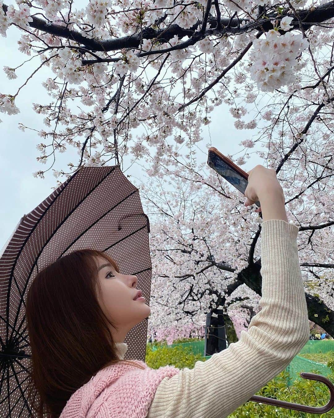 桃瀬りんかさんのインスタグラム写真 - (桃瀬りんかInstagram)「・ 雨の日の桜🌸☔️ ・ ・ 晴れてる時しか お花見って行くこと無かったけど 雨の日の桜も意外と悪くないね☺️💗 ・ 風情があって これはこれで素敵だと思った29の春𓂃🌸𓈒𓏸 良き発見👀💕 ・ ・ ・」4月2日 3時25分 - momose_rinka