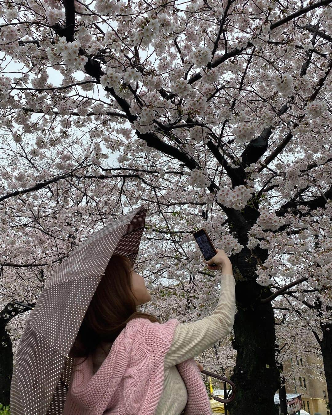 桃瀬りんかさんのインスタグラム写真 - (桃瀬りんかInstagram)「・ 雨の日の桜🌸☔️ ・ ・ 晴れてる時しか お花見って行くこと無かったけど 雨の日の桜も意外と悪くないね☺️💗 ・ 風情があって これはこれで素敵だと思った29の春𓂃🌸𓈒𓏸 良き発見👀💕 ・ ・ ・」4月2日 3時25分 - momose_rinka