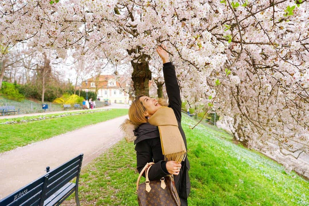 新田朝子さんのインスタグラム写真 - (新田朝子Instagram)「🌸🌸🌸  卒業、新生活、新年度、そんなみなさんの投稿を目にして、 4月と春の始まりを感じました☺️🌷  個人的には、今後もエルサレムで 国連機関での勤務を続けることになりました。  インターンの期間も入れるともう一年経つので、時の流れの速さを感じるとともに、また身を引き締めて、いろんなことに挑戦出来たらと。  そのため、アナウンサーとしてのお仕事はしていないのですが、このインスタではマイペースに趣味やエルサレムでの日常など、更新します。変わらずお付き合いいただけたら嬉しいです💋  日本の皆さんから届く各地の桜の写真や動画に癒されていたら、偶然旅先のプラハ🇨🇿で桜を見ることができ、テンション上がりました。春はやっぱり桜を見て、四季の移ろいを感じたい..🥰✨  プラハは、色んな人にお薦めされた通り素敵な場所で、街歩きが本当に楽しかったなぁ。これから振り返り投稿で、記録に残します🫶  #新年度 #4月 #春 #桜 #海外在住 #中東在住 #ヨーロッパ旅行 #東欧 #チェコ #プラハ #プラハの春 #新田朝子   #prague #czech #easterneurope #europe_vacations #europetravel #travelphotography #cherryblossom #sakura」4月2日 4時58分 - asako.nitta