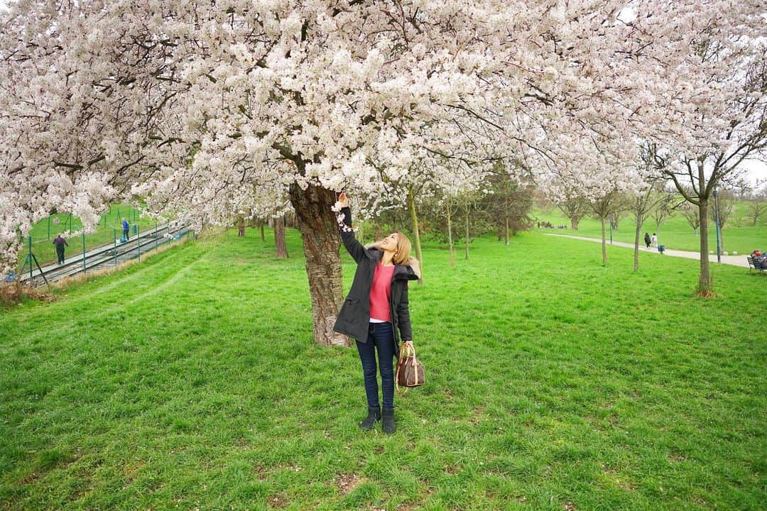 新田朝子さんのインスタグラム写真 - (新田朝子Instagram)「🌸🌸🌸  卒業、新生活、新年度、そんなみなさんの投稿を目にして、 4月と春の始まりを感じました☺️🌷  個人的には、今後もエルサレムで 国連機関での勤務を続けることになりました。  インターンの期間も入れるともう一年経つので、時の流れの速さを感じるとともに、また身を引き締めて、いろんなことに挑戦出来たらと。  そのため、アナウンサーとしてのお仕事はしていないのですが、このインスタではマイペースに趣味やエルサレムでの日常など、更新します。変わらずお付き合いいただけたら嬉しいです💋  日本の皆さんから届く各地の桜の写真や動画に癒されていたら、偶然旅先のプラハ🇨🇿で桜を見ることができ、テンション上がりました。春はやっぱり桜を見て、四季の移ろいを感じたい..🥰✨  プラハは、色んな人にお薦めされた通り素敵な場所で、街歩きが本当に楽しかったなぁ。これから振り返り投稿で、記録に残します🫶  #新年度 #4月 #春 #桜 #海外在住 #中東在住 #ヨーロッパ旅行 #東欧 #チェコ #プラハ #プラハの春 #新田朝子   #prague #czech #easterneurope #europe_vacations #europetravel #travelphotography #cherryblossom #sakura」4月2日 4時58分 - asako.nitta