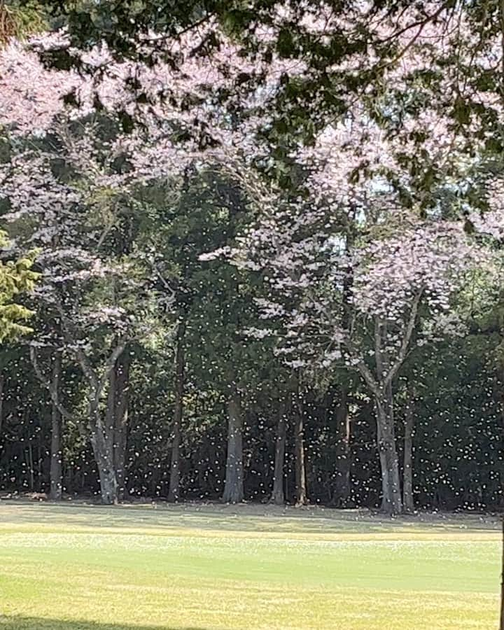 福田葉子のインスタグラム