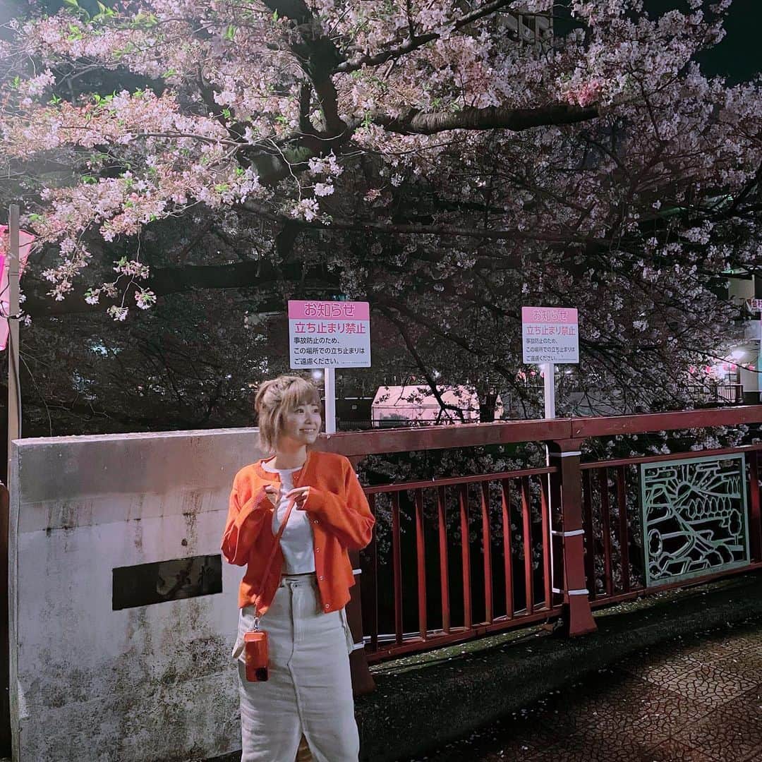 山下まみさんのインスタグラム写真 - (山下まみInstagram)「人混みを避け早朝に桜を見てみるの巻🌸  #インスタ頑張って更新してみる」4月2日 5時17分 - yamashita_mami