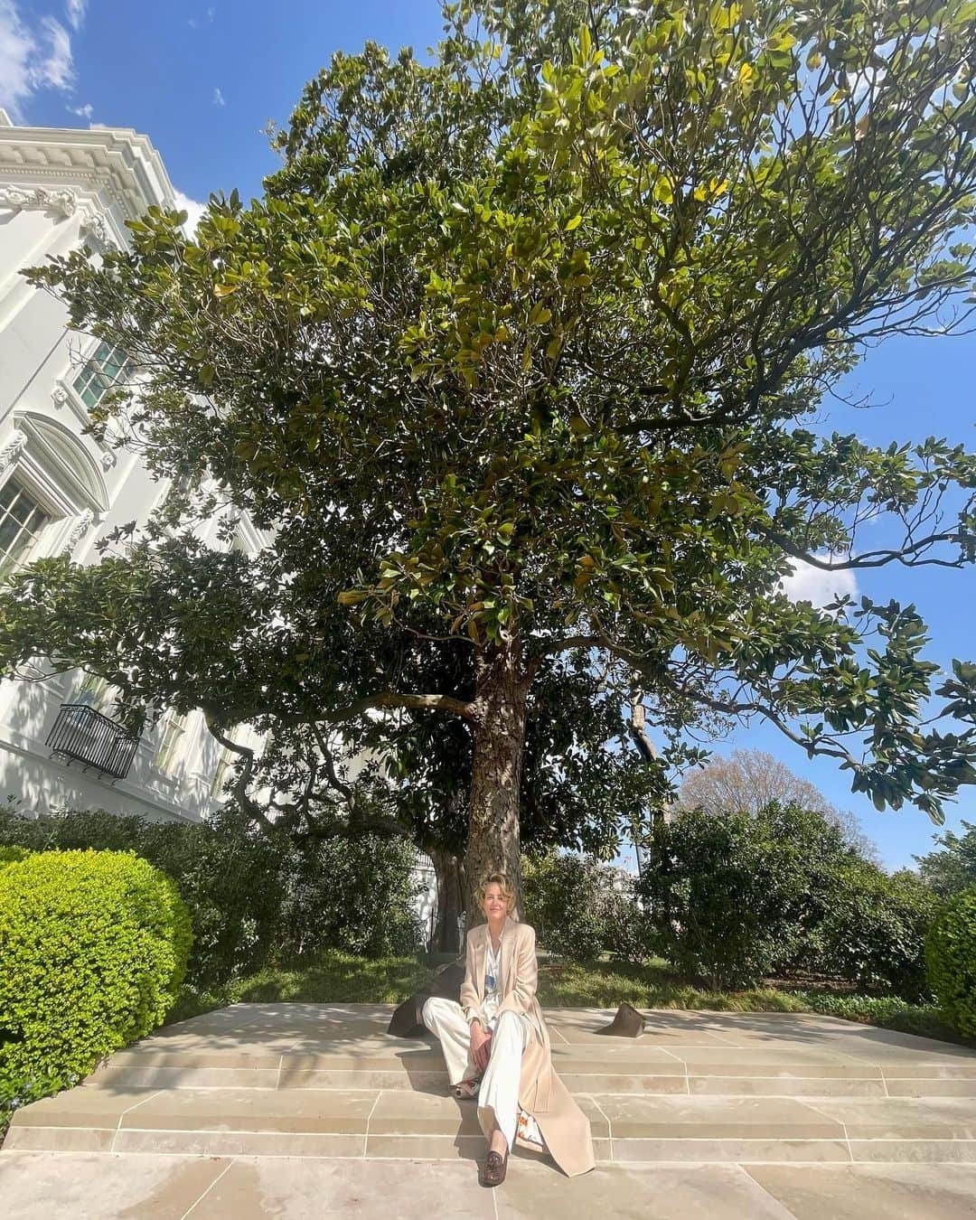 シャロン・ストーンさんのインスタグラム写真 - (シャロン・ストーンInstagram)「The Andrew Jackson Magnolia Tree.」4月2日 5時58分 - sharonstone