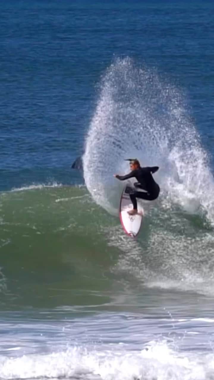 レイキー・ピーターソンのインスタグラム：「Winki 🍯  • • 🎥 @drone_boy_surf」