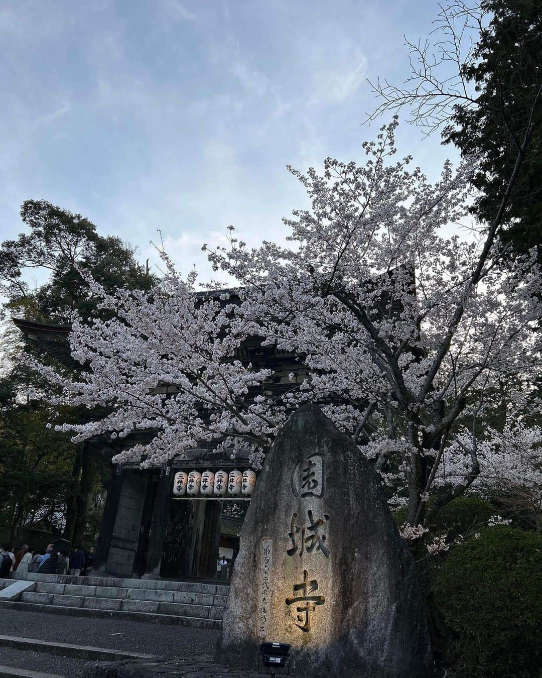 るるさんのインスタグラム写真 - (るるInstagram)「⁡ 　 　 昨日は、滋賀県の三井寺へお花見に🤗🌸✨　 ⁡ ⁡ もう、めちゃくちゃテンション上がった😁💖　 ⁡ ⁡ 有名な観月舞台は、五分間だけだったけど ⁡ 堪能できました♪      境内の桜も全て満開で ⁡ 本当に美しかった〜☺️🌸🌸🌸　 ⁡ ⁡ また来年も行きたいな🤗💕　 　 ⁡   ⁡ おしまい❤️ ⁡ ⁡ ⁡ ⁡ ⁡ ⁡ ⁡ ⁡ #自分大好き #自分ファースト #笑顔が人を幸せにする #美しさは社会貢献 #自己肯定感アップへの道 #吉報士 #ノーマスク #マスクを外そう #深呼吸しよう #花見  #花見スポット  #三井寺  #桜 #桜スポット  #桜ライトアップ」4月2日 7時37分 - ruru430