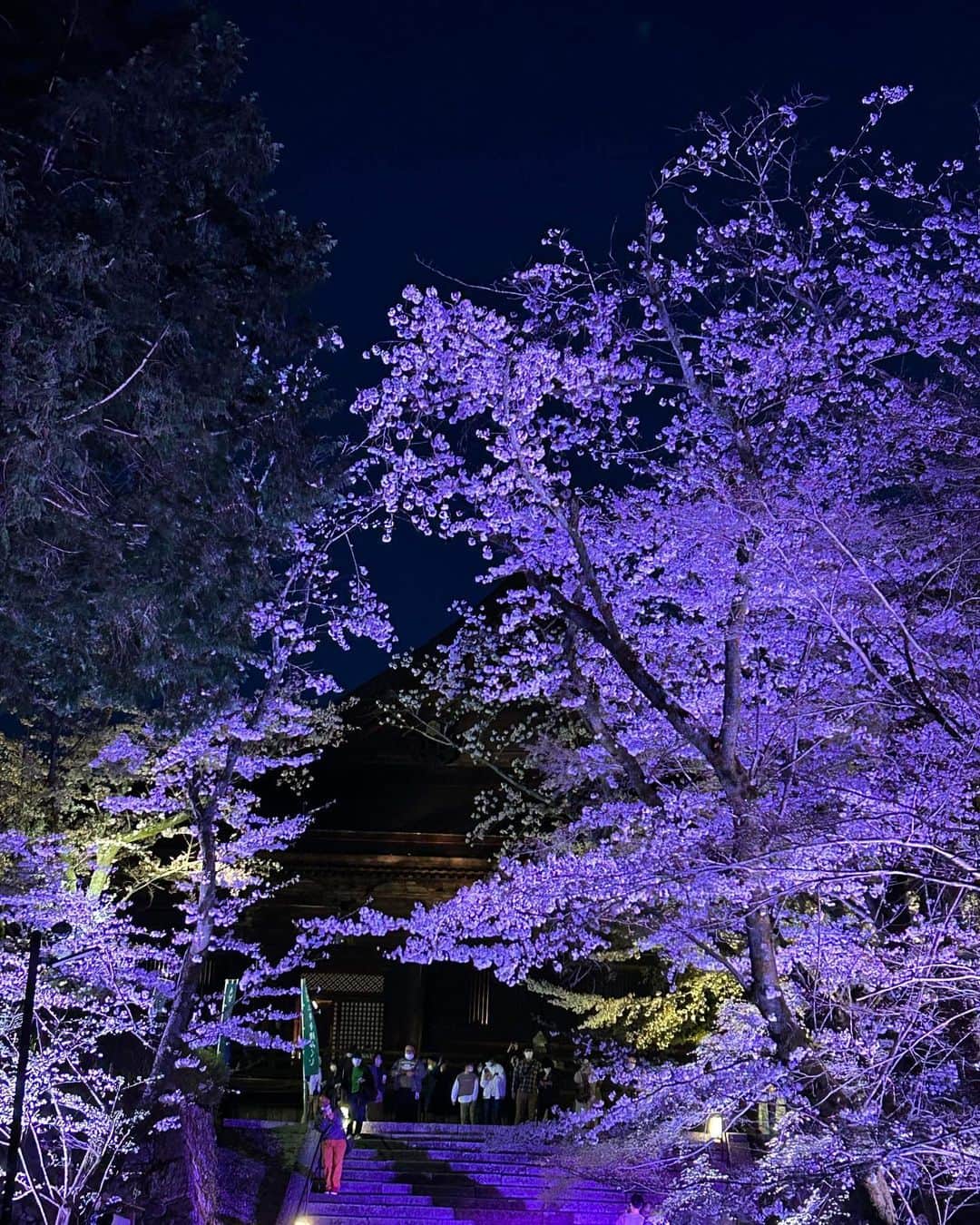 るるさんのインスタグラム写真 - (るるInstagram)「⁡ 　 　 昨日は、滋賀県の三井寺へお花見に🤗🌸✨　 ⁡ ⁡ もう、めちゃくちゃテンション上がった😁💖　 ⁡ ⁡ 有名な観月舞台は、五分間だけだったけど ⁡ 堪能できました♪      境内の桜も全て満開で ⁡ 本当に美しかった〜☺️🌸🌸🌸　 ⁡ ⁡ また来年も行きたいな🤗💕　 　 ⁡   ⁡ おしまい❤️ ⁡ ⁡ ⁡ ⁡ ⁡ ⁡ ⁡ ⁡ #自分大好き #自分ファースト #笑顔が人を幸せにする #美しさは社会貢献 #自己肯定感アップへの道 #吉報士 #ノーマスク #マスクを外そう #深呼吸しよう #花見  #花見スポット  #三井寺  #桜 #桜スポット  #桜ライトアップ」4月2日 7時37分 - ruru430