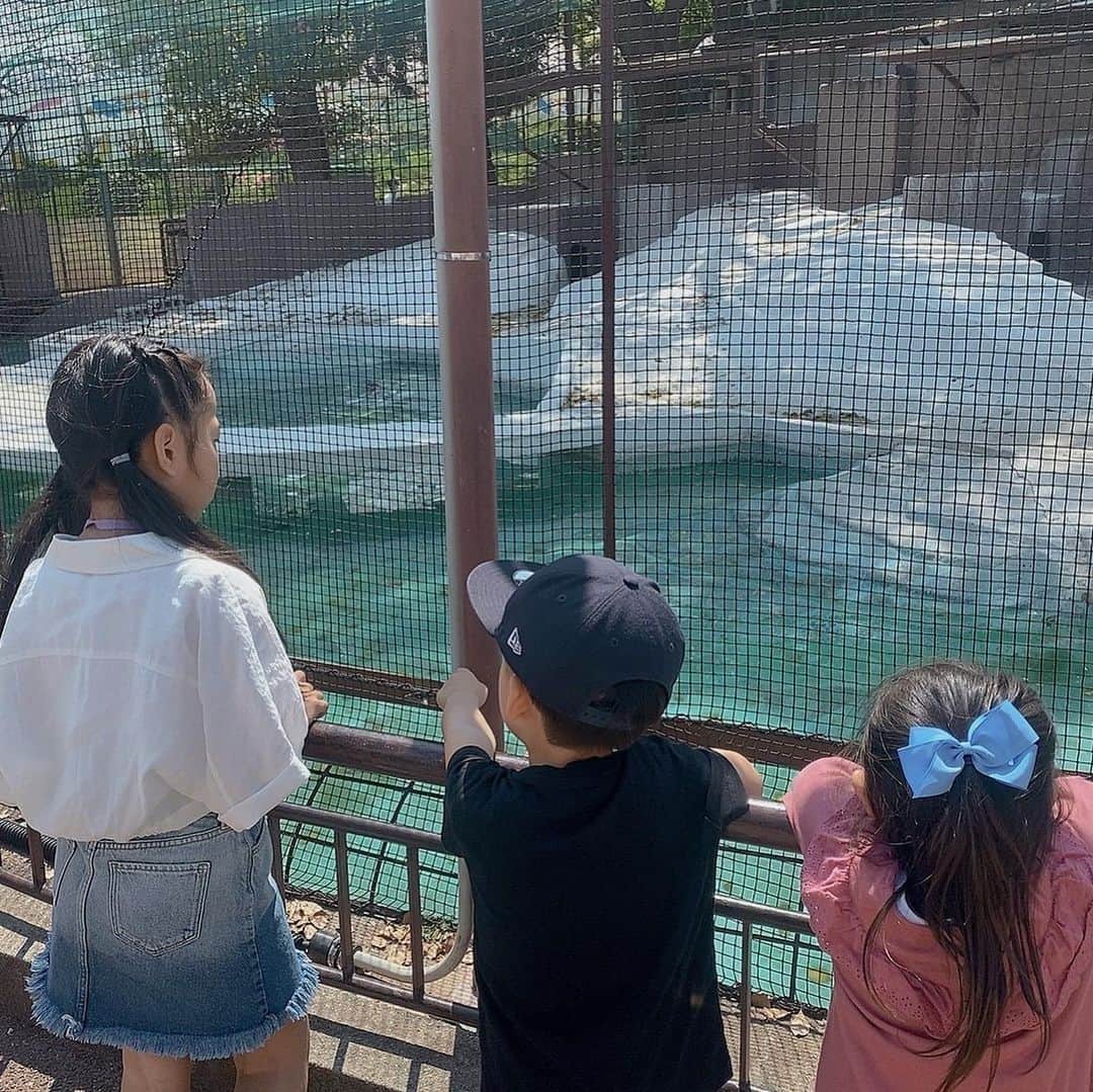 澤野井香里さんのインスタグラム写真 - (澤野井香里Instagram)「久しぶりに会えたあかりちゃん親子と#天王寺動物園 へ🦁✨ @osaka_tennoji_zoo   都会のど真ん中にある動物園なのにすごく広くて、たくさんの動物たちに会えた😆🦓🦒🐒🎵  同じ月齢の下の子たちも大きくなって、1年生のお姉ちゃんが『キリン🦒は獲物に襲われないように視野がすごく広くて後ろの方まで見えるんだよー』とそれぞれの動物の特徴を説明していってくれて動物博士👩‍🎓👏  次来たらホッキョクグマ🐻‍❄️の赤ちゃん見たいな💕  #ks_23✨ #ks_osaka✨ #大阪 #天王寺#てんのうじどうぶつえん #年少 #4歳 #4歳女の子 #ベビフル #ママリ #コドモノ #女の子ママ #男の子ママ　#ママライフ #ks_dau #ks_dau_2022 　#M🍒_  #👧🏻 #🌸」4月2日 7時48分 - kaori_sawanoi