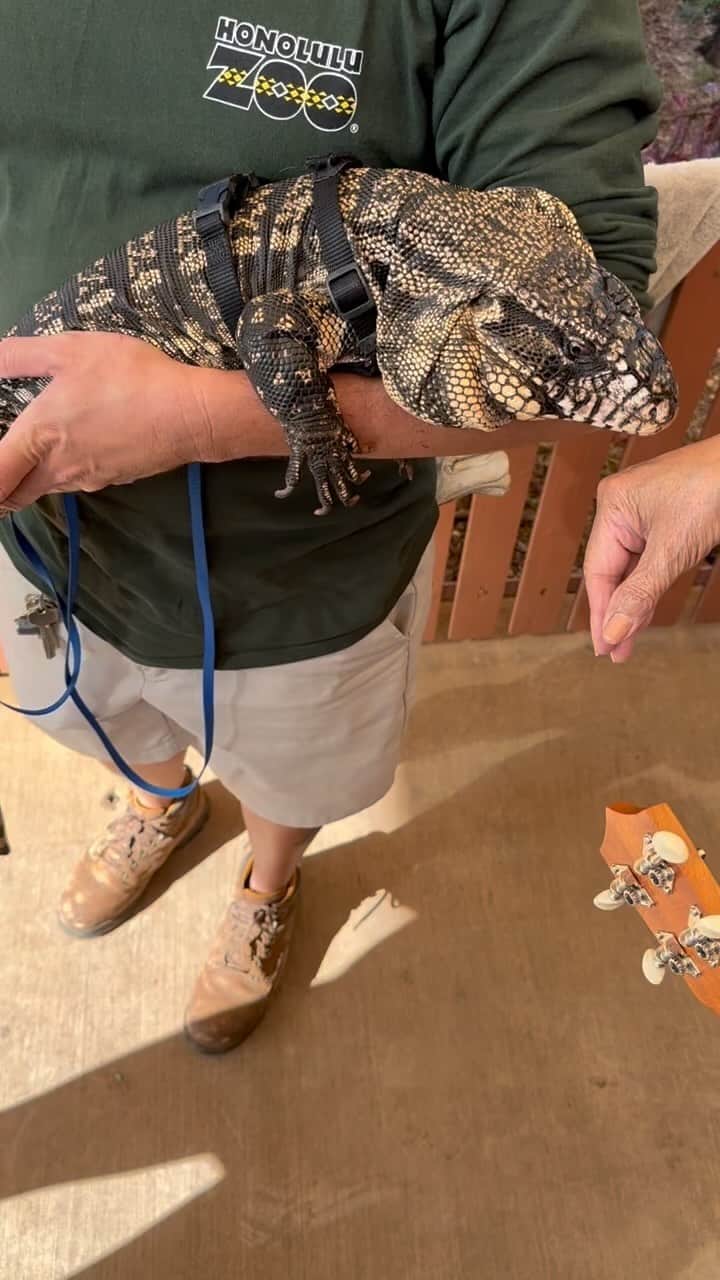 ドウェイン・ジョンソンのインスタグラム：「Oh I see what’s happening— so IM the inappropriate one who genuinely thought this beautiful creature’s name was TAINT?? 🦎 👍🏾  But alas, his name is TANK.   I prefer the name TAINT over TANK but hey that’s me and I’m an inappropriate trouble maker 😈 😂  We always have a blast (clearly) with all our friends and ohana at the Honolulu Zoo ❤️😊」