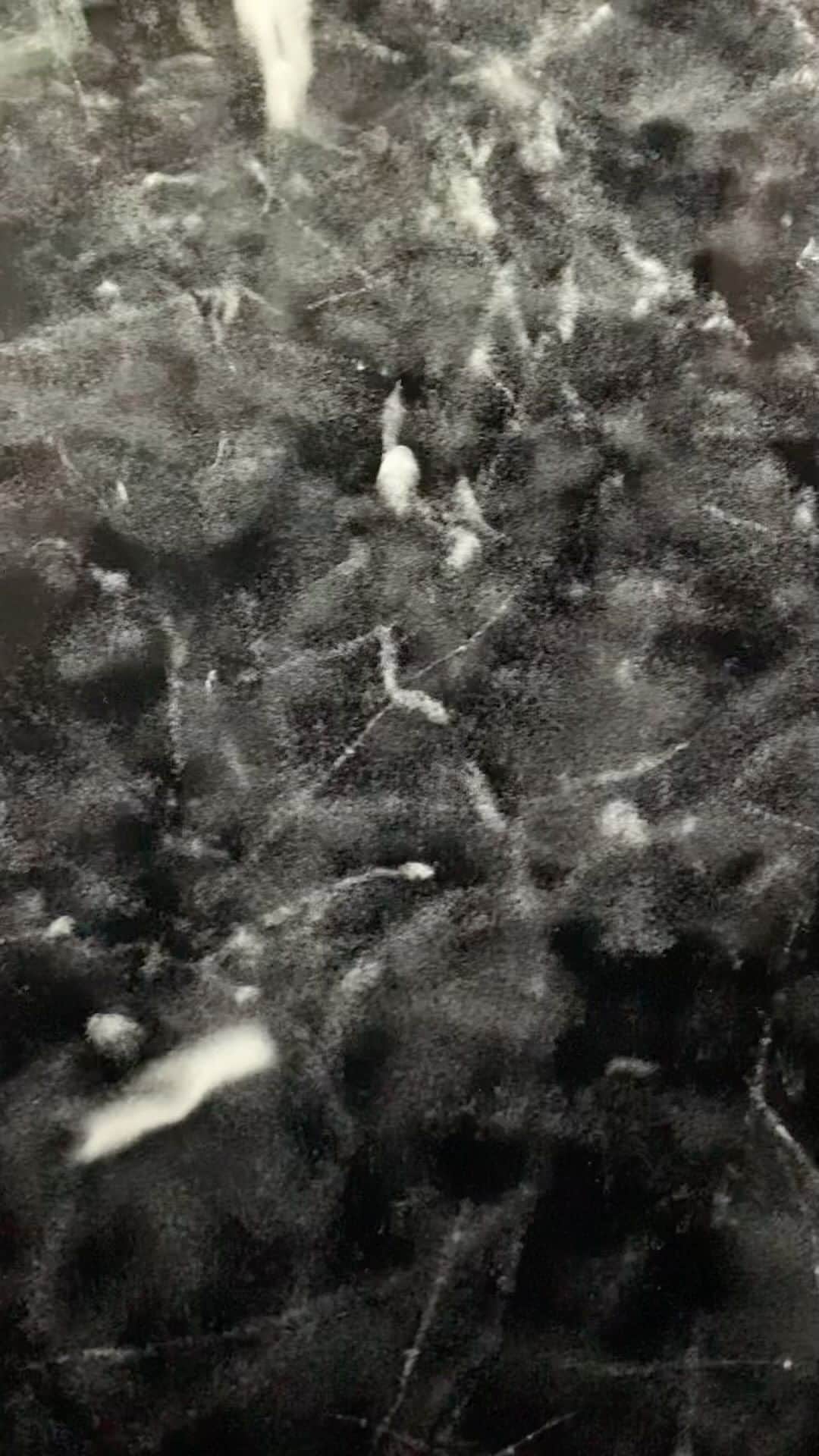 小林エリカのインスタグラム：「霧箱 cloud chamber  アルファ線、ベータ線、ガンマ線 α-rays, β-rays, γ-rays  Voice @wattssashiko」