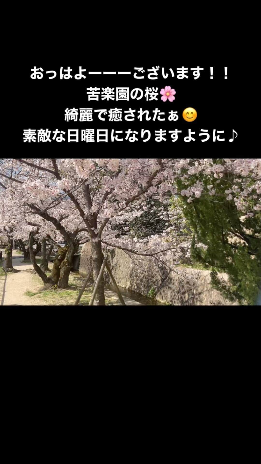 中野耕史のインスタグラム