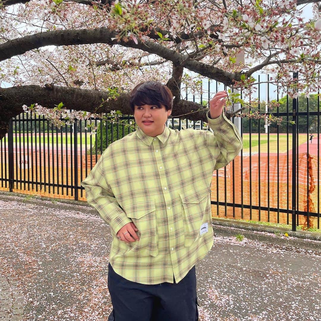 じんじん【パパラピーズ】さんのインスタグラム写真 - (じんじん【パパラピーズ】Instagram)「一瞬だけ桜を美味しそう、食べたいって思ってしまいました。不謹慎ですみません。」4月2日 19時42分 - jinjiiiindao