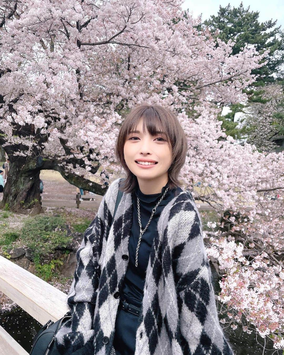 上杉真央のインスタグラム：「お花見散歩！  #桜 #お花見 #新宿御苑  #上杉真央」