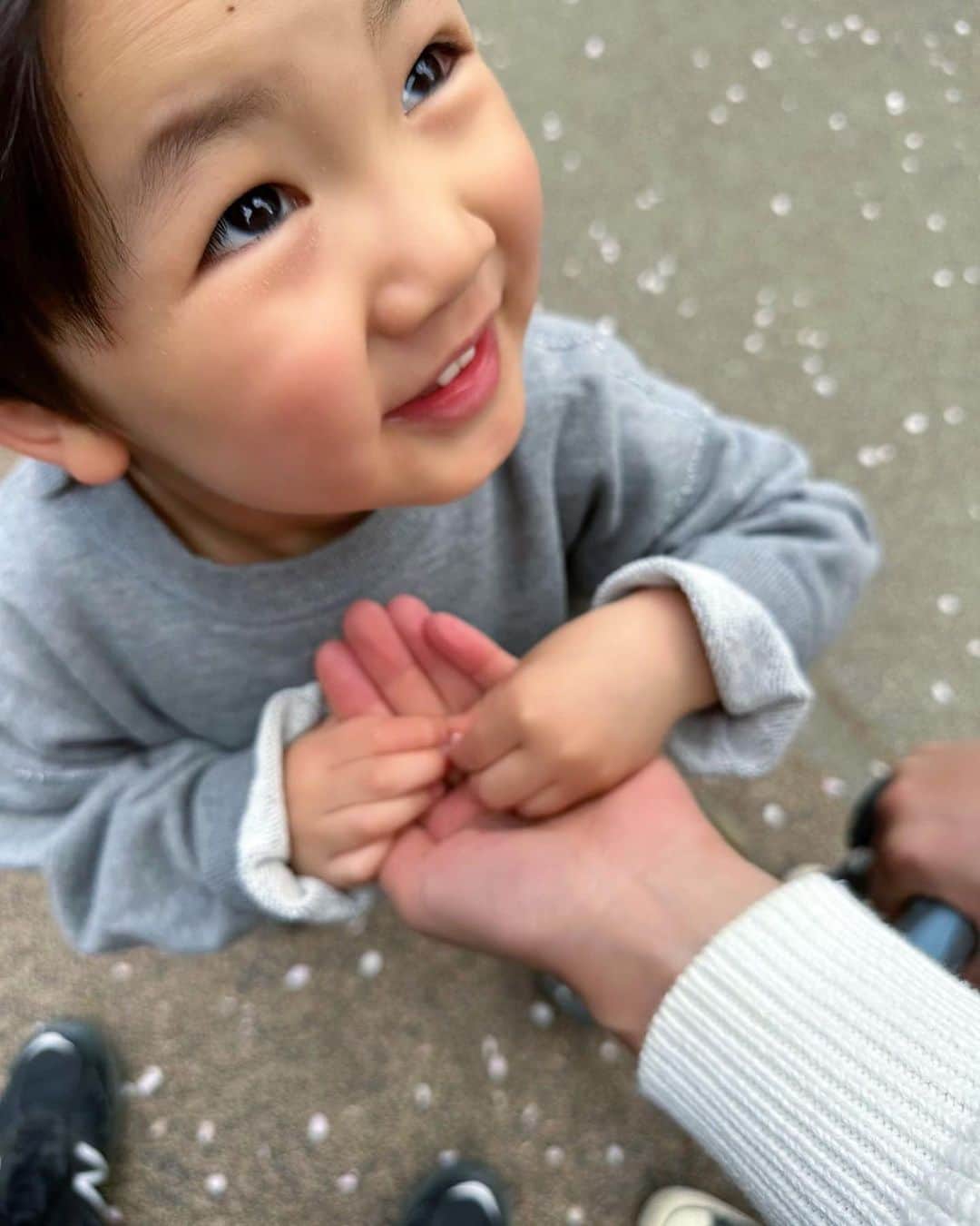 高橋ユウさんのインスタグラム写真 - (高橋ユウInstagram)「花びらくれた🌸  このあと花びら2枚持ってきて 「これマミーの。これダディーの。」と2人にくれた。キュンです！  ちぴちゃんのブランド @ajuga.shop のミッキースウェット、スクールお休みの土日どっちかで絶対着てる。禅清のお気に入り。  #3歳男の子 #zenseigram」4月2日 18時16分 - takahashiyu.official
