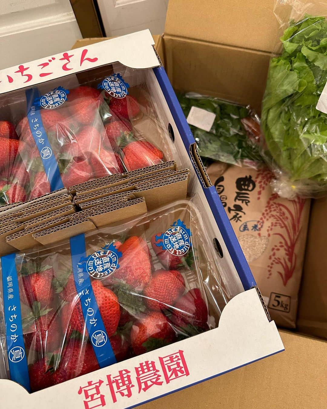 篠田麻里子さんのインスタグラム写真 - (篠田麻里子Instagram)「地元の友達が送ってくれる糸島野菜🥬 届くと一気に作り置き🫕  ご飯のお供に✨おすすめのふりかけと最近ワカメ食べてくれないのでワカメの混ぜご飯おすすめです！  個人的には卵かけご飯で充分🫶🏻  ご飯は16穀米 お肌にも👍 #糸島野菜#地元」4月2日 18時24分 - shinodamariko3
