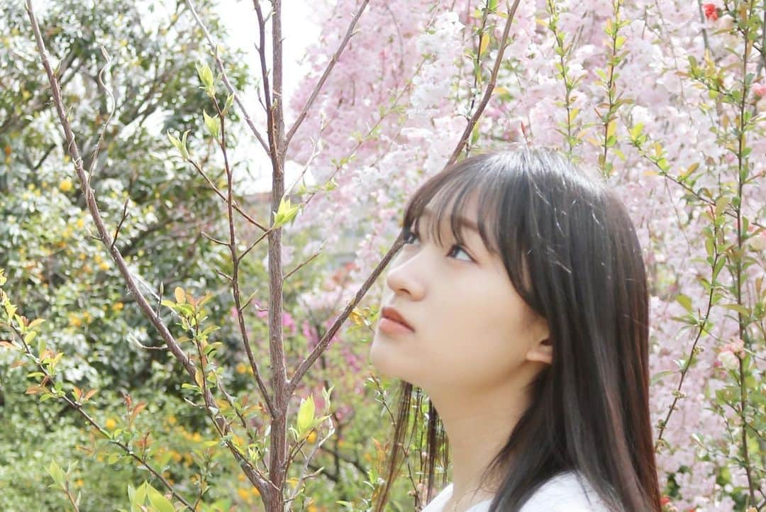前野えまさんのインスタグラム写真 - (前野えまInstagram)「今日も桜が綺麗でした🌸 ・ ・ #桜  #桜のある風景  #春休みもあと少し   #cherryblossom  #springvacation  #girlportrait #actress #actor #girl #photography #portrait #japanesegirl #portraitphotography #daily_phot_jpn #japan_daytime_view」4月2日 18時33分 - maeno_ema