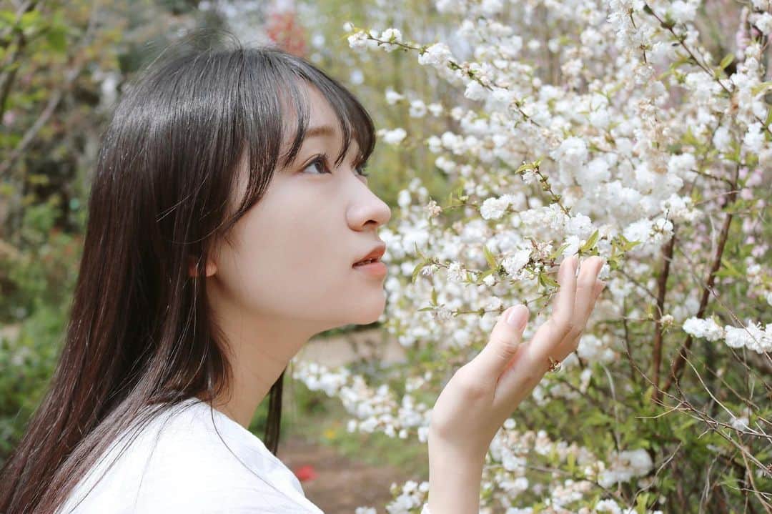 前野えまさんのインスタグラム写真 - (前野えまInstagram)「今日も桜が綺麗でした🌸 ・ ・ #桜  #桜のある風景  #春休みもあと少し   #cherryblossom  #springvacation  #girlportrait #actress #actor #girl #photography #portrait #japanesegirl #portraitphotography #daily_phot_jpn #japan_daytime_view」4月2日 18時33分 - maeno_ema