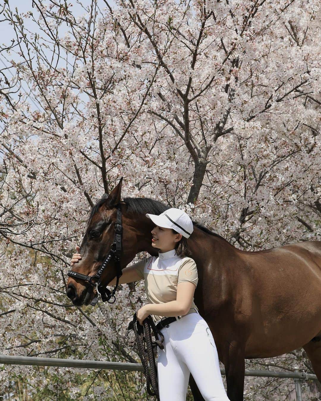 ISHIDAKOTONEのインスタグラム：「🌸」