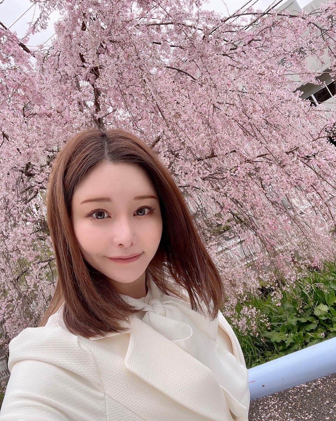 利咲さんのインスタグラム写真 - (利咲Instagram)「若林りさの街宣車🚘【若林りさ｜世田谷区｜日本維新の会】  今年は桜が早めに咲いてとても綺麗ですね🌸 各地で様々な桜を見ることが出来て、 政治活動中の癒しと応援になっています🌸🌸🌸  街宣車は、日本維新の会、共同代表の吉村洋文さん、 政務調査会長の音喜多駿さんとの二連デザインとなっております。 世田谷区の全てのエリアではないのですが走らせて頂いております。 見かけた方からご連絡が来て頑張ってるね、応援してるとお声がけ頂き嬉しい限りです。  私は街頭に出ていて乗っていないことの方が多いのですが 政策についてお話させて頂いてます。  選挙期間（4/16〜22）は、私単独の写真の看板になります。 期間限定のものとなりますのでお見かけ頂ければと思います。  あっという間に4月ですね！ 新年度も宜しくお願い致します🙏  若林りさ🍏  #2023年 #統一地方選挙 #選挙 #世田谷区 #世田谷 #世田谷区政対策委員 #setagaya #リサリサ #世田谷生まれ世田谷育ち #日本維新の会 #維新 #若林りさ の #街宣車 #吉村洋文 #吉村洋文大阪府知事 #吉村洋文知事 #吉村洋文共同代表 #音喜多駿 #音喜多駿参議院議員 #音喜多駿政調会長 #音喜多駿議員 #桜 #桜スポット #桜ポートレート #桜並木 #柳桜 #世田谷桜 #4月 #新年度 #白スーツ」4月2日 18時41分 - himeringo908