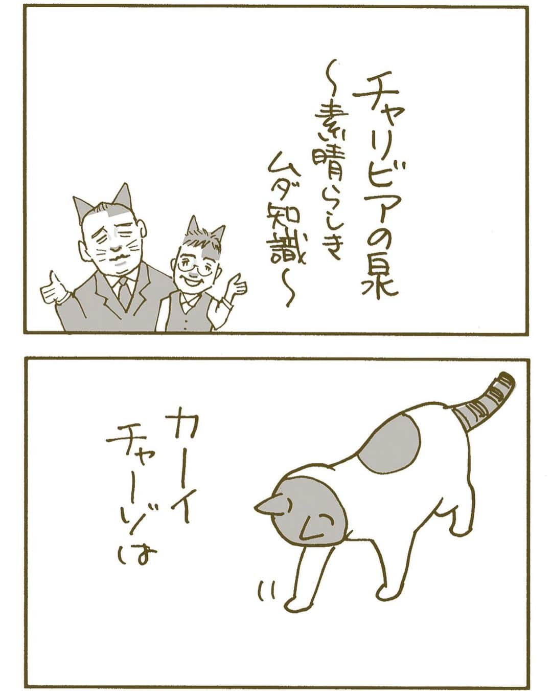 くるねこ大和のインスタグラム