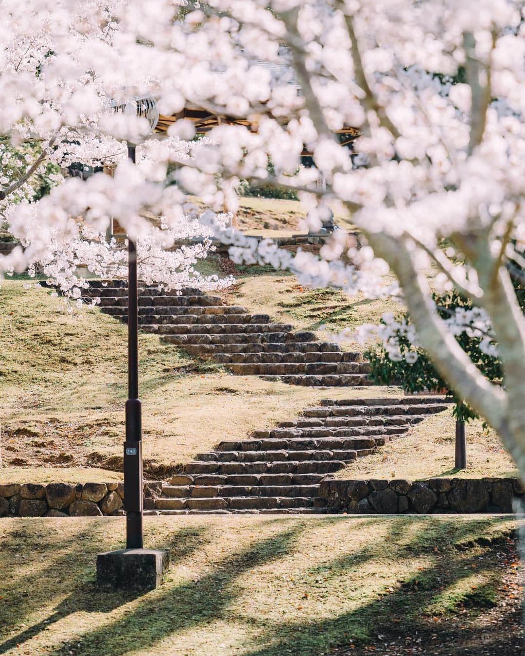 fuka_09さんのインスタグラム写真 - (fuka_09Instagram)「⁡ Spring / Nara ⁡ ⁡ ズームレンズで切り撮る 春の世界にはまりました ⁡ ⁡ #Z7ii #Nikoncreators NIKKOR Z 70-200mm f/2.8 S ⁡ #奈良 #わたしは奈良派」4月2日 19時05分 - fuka_09