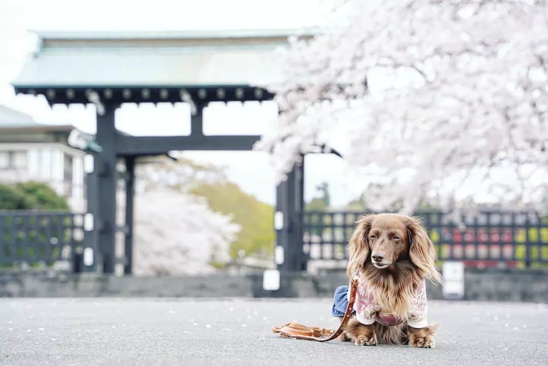 etsukoのインスタグラム