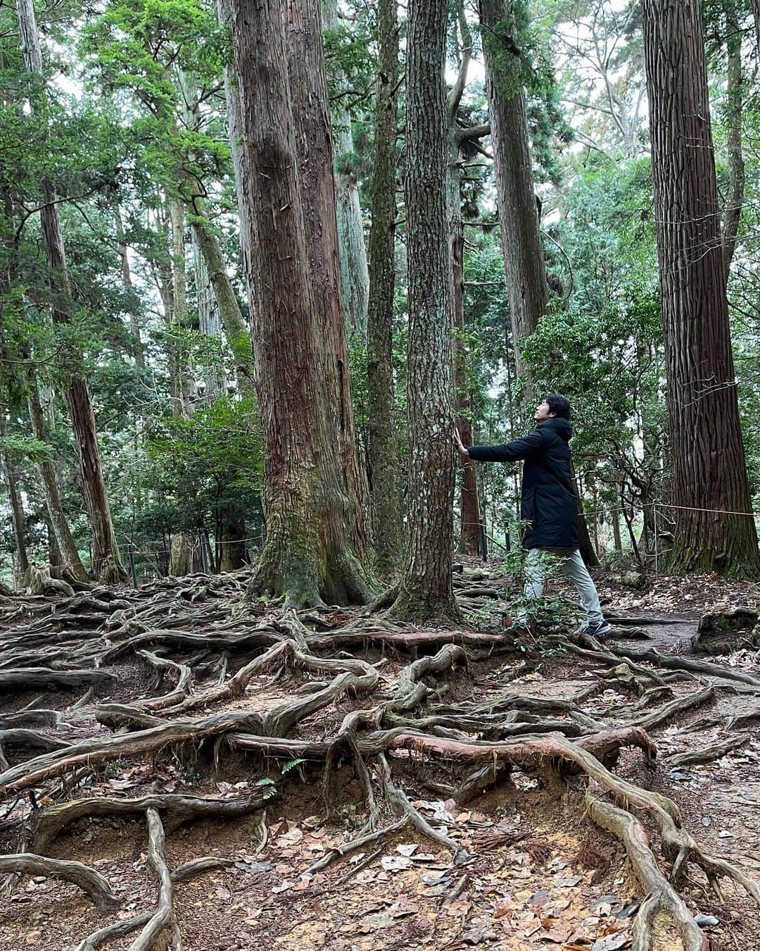 渡部純平さんのインスタグラム写真 - (渡部純平Instagram)「Throw back in Kurama🐉  1月に大阪、京都に行ったと思ったら早いものでもう4月🌸  牛若丸こと源義経が天狗と修行したとされる木の根道。  根っこが浮かび上がってるのは地面が硬くて地中に入ることが出来なかったからみたいです。  自然の原理を現してるかのような場所。 自然、自然体、あるがまま、ありのままに。 自然から学び、自然から気づかされる。  最後の写真の本殿の地下にも行けるのを帰った後に知りました。笑  #鞍馬#鞍馬山#京都#天狗#牛若丸#源義経#歴史#自然#旅#パワースポット #nature#japantrip#photooftheday#meditation#yoga#lifestyle」4月2日 19時03分 - junpei_wt7b