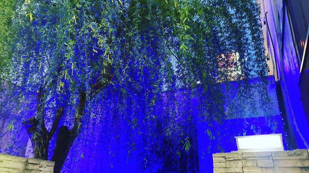 ごあきうえさんのインスタグラム写真 - (ごあきうえInstagram)「スポタカがドンキに変わってるって太一から聞いて確認に来たら ほんとに変わってた… なんか、ちょっと悲しかったな。  #水の都 #水都 #水の都大阪 #水都大阪 #CityofCanals #CityofWater #수도　#道頓堀　#とんぼりリバーウォーク #Dotonbori #スポタカ　#ドンキホーテ　#とんぼりリバークルーズ」4月2日 19時14分 - goakiue