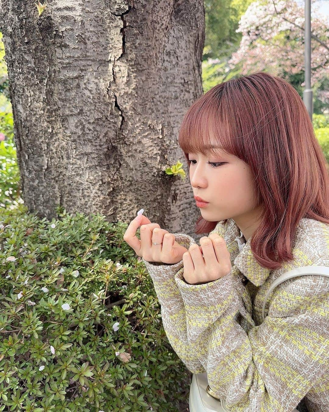 飯塚理珠（RIJU）さんのインスタグラム写真 - (飯塚理珠（RIJU）Instagram)「. .  ✿ April ✿  風に舞う桜の花びらってほんとうに素敵でだいすき🌸  #April #spring #桜 #cherryblossom #春コーデ #ピンクカラー #ピンクヘアー」4月2日 19時13分 - riju_0205