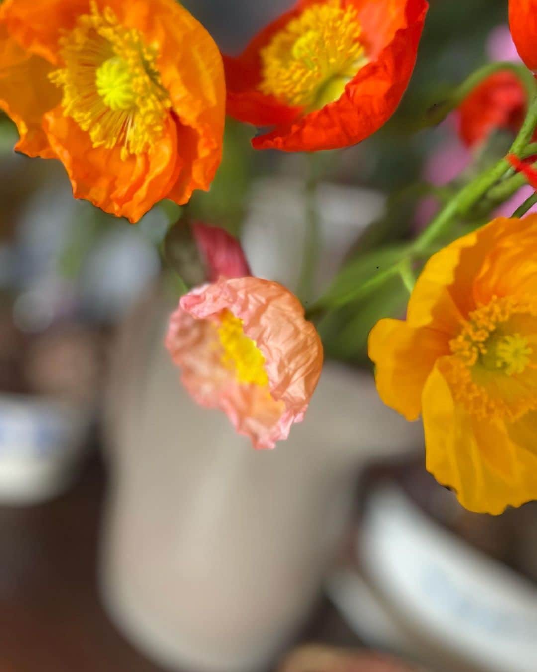 黄川田としえさんのインスタグラム写真 - (黄川田としえInstagram)「花たちがどこから撮っても可愛すぎてカメラロールが花だらけ。  あっという間に4月ですね〜。 進級した子どもたちも、また毎日充実した楽しい時間を過ごせますように☺️  #totto__life #flowers」4月2日 19時08分 - tottokikawada