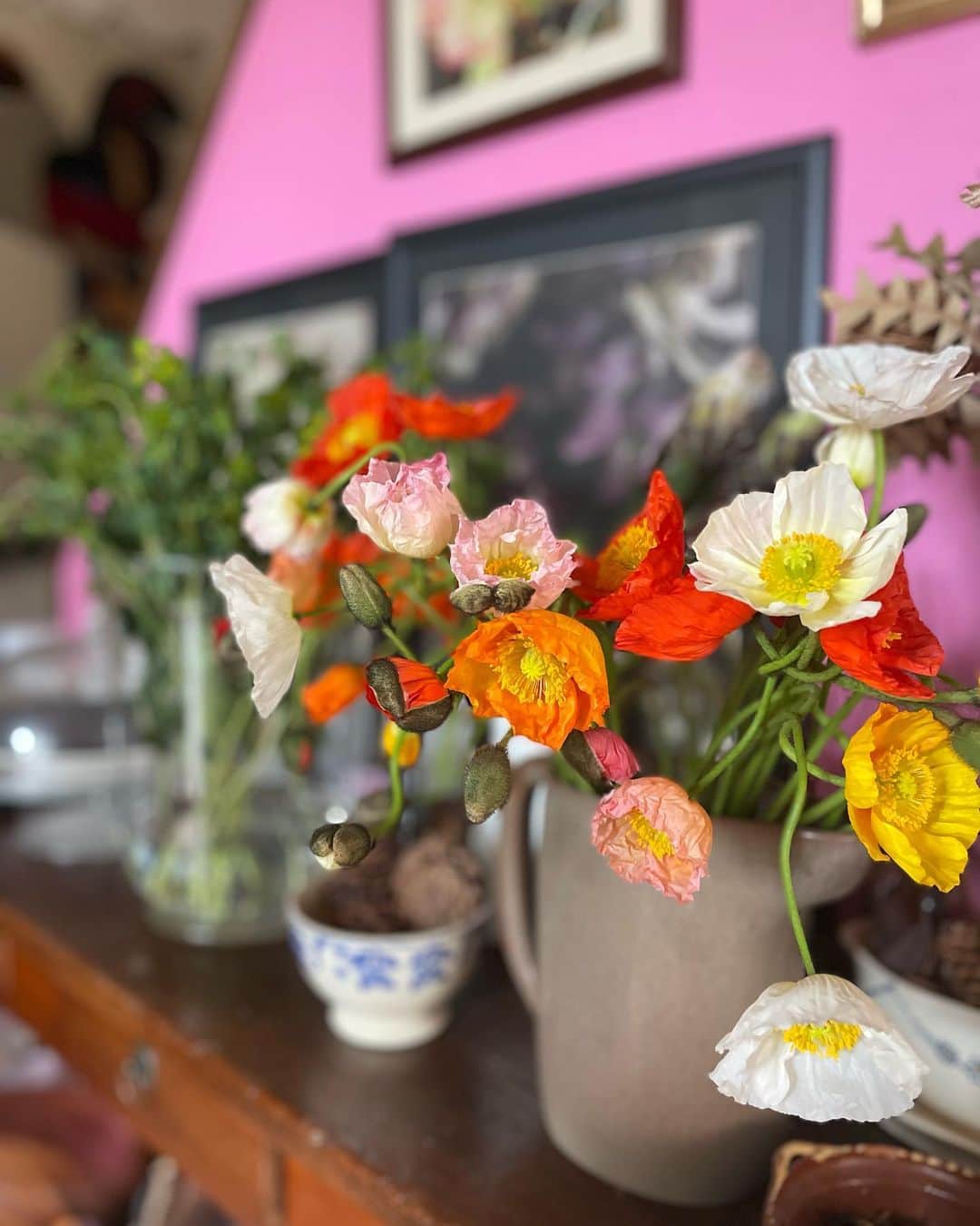 黄川田としえさんのインスタグラム写真 - (黄川田としえInstagram)「花たちがどこから撮っても可愛すぎてカメラロールが花だらけ。  あっという間に4月ですね〜。 進級した子どもたちも、また毎日充実した楽しい時間を過ごせますように☺️  #totto__life #flowers」4月2日 19時08分 - tottokikawada