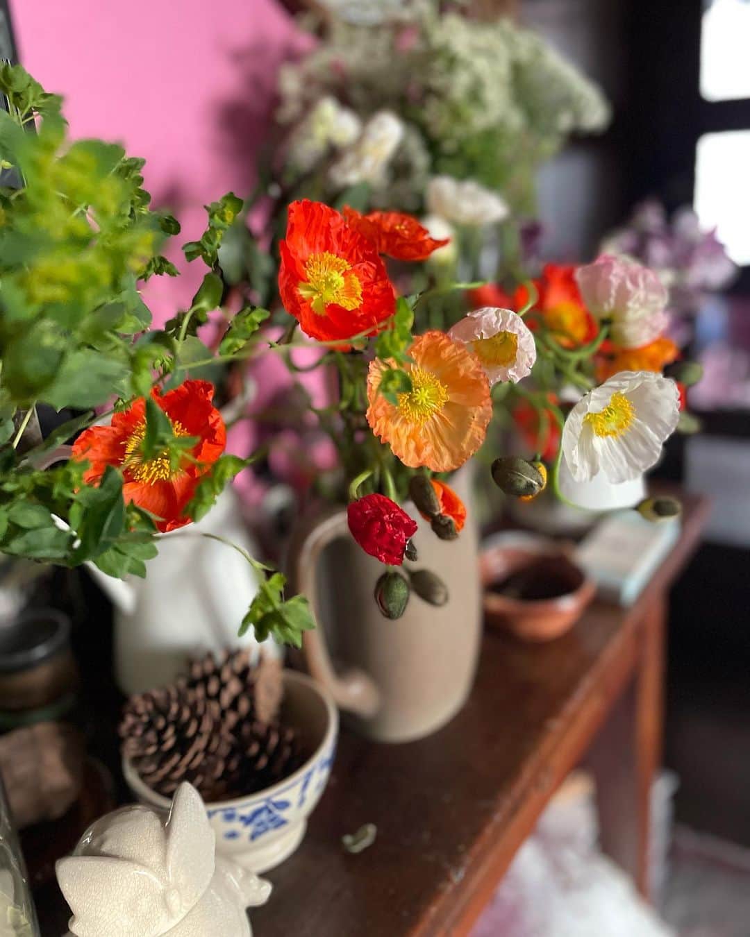 黄川田としえのインスタグラム：「花たちがどこから撮っても可愛すぎてカメラロールが花だらけ。  あっという間に4月ですね〜。 進級した子どもたちも、また毎日充実した楽しい時間を過ごせますように☺️  #totto__life #flowers」