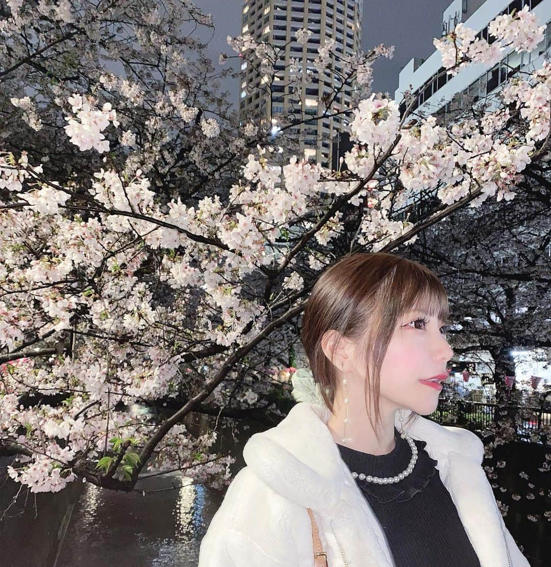 葵ローズさんのインスタグラム写真 - (葵ローズInstagram)「儚さがある桜がすきです」4月2日 19時14分 - aoirose__11