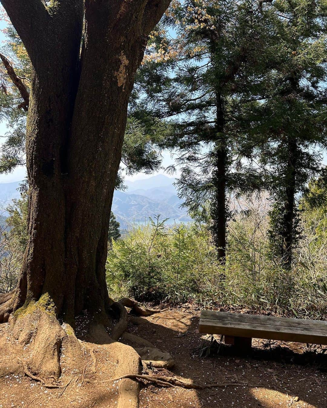 ガーダオ・メラニーさんのインスタグラム写真 - (ガーダオ・メラニーInstagram)「⛰🌱 体力は無限なり！♾」4月2日 19時09分 - melaniegrdt