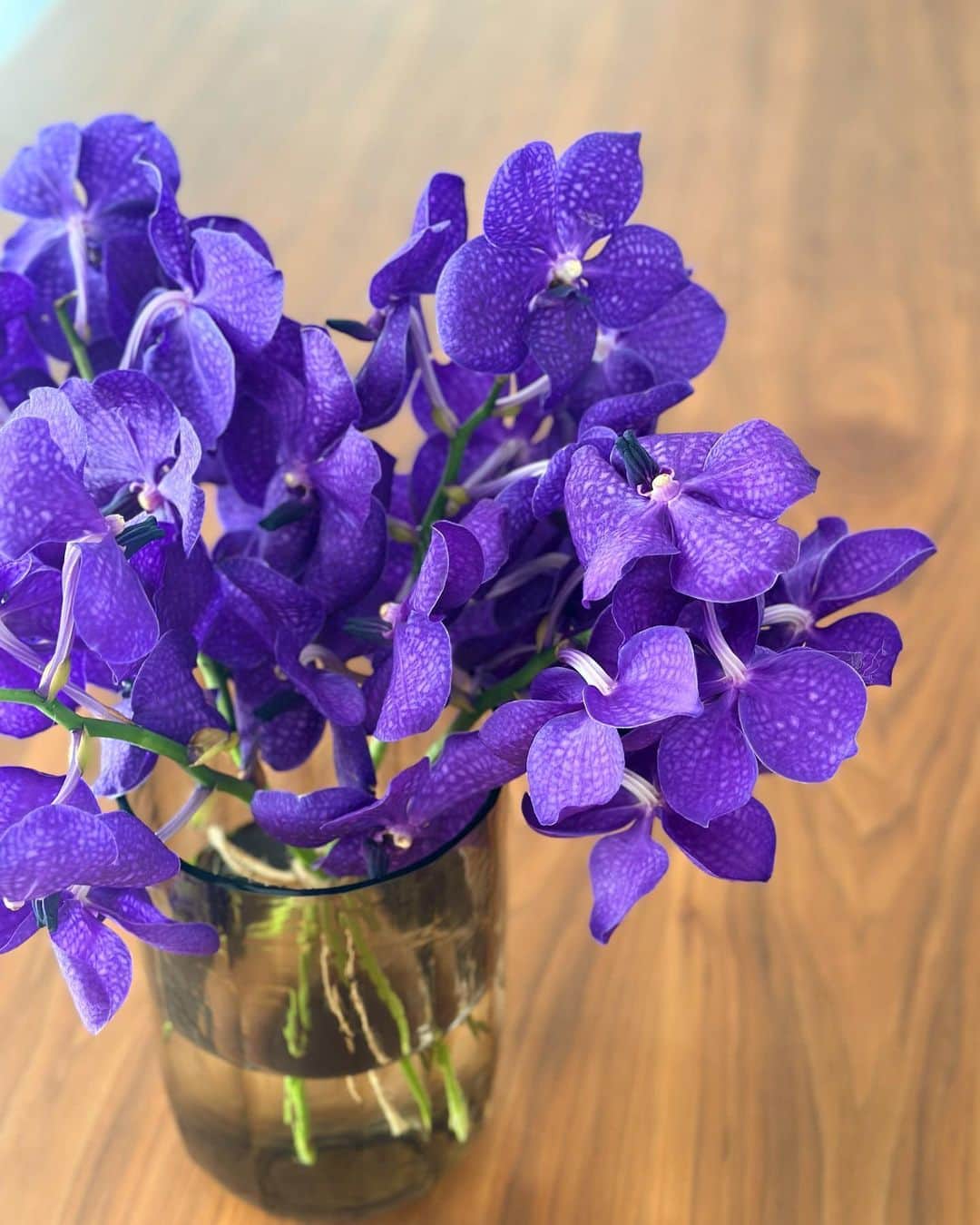 小澤名代さんのインスタグラム写真 - (小澤名代Instagram)「仕事が忙しくてもお家にいる少しの時間や食卓を華やかしてくれるお花達。  バンダはフォルムも色も好みすぎる💜 ブレアカラーなのでサロンにもよくこの時期は飾っております。  #バンダ #花のある暮らし」4月2日 19時10分 - ozawanayo