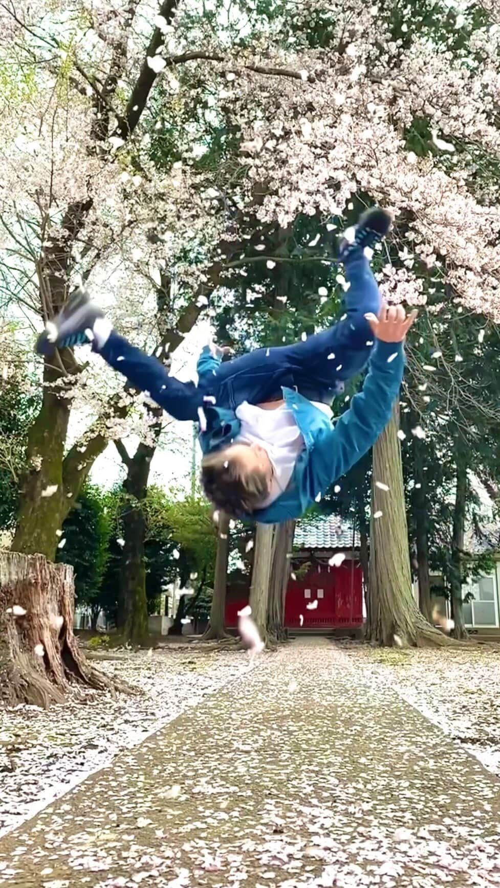 SNACK（野村直）のインスタグラム：「Cherry blossom viewing × Webster ㅤㅤㅤㅤㅤㅤㅤㅤㅤㅤㅤㅤㅤ ㅤㅤㅤㅤㅤㅤㅤㅤㅤㅤㅤㅤㅤ Follow me @bboysnack  ㅤㅤㅤㅤㅤㅤㅤㅤㅤㅤㅤㅤㅤ ㅤㅤㅤㅤㅤㅤㅤㅤㅤㅤㅤㅤㅤ #cherryblossomviewing #cherryblossom #花見 #お花見 #さくら #桜 #webster #ウェブスター #axewebster #アックスウェブスター #breakdancer #dancer #streetdancer #ダンサー #ストリートダンサー #tricking #トリッキング #ケツメイシ #さくら 0402 1915日」